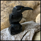 Raven in Onyx