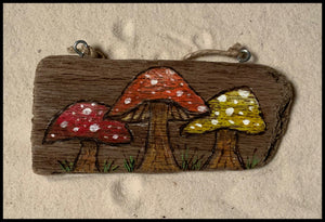 Mushroom Driftwood