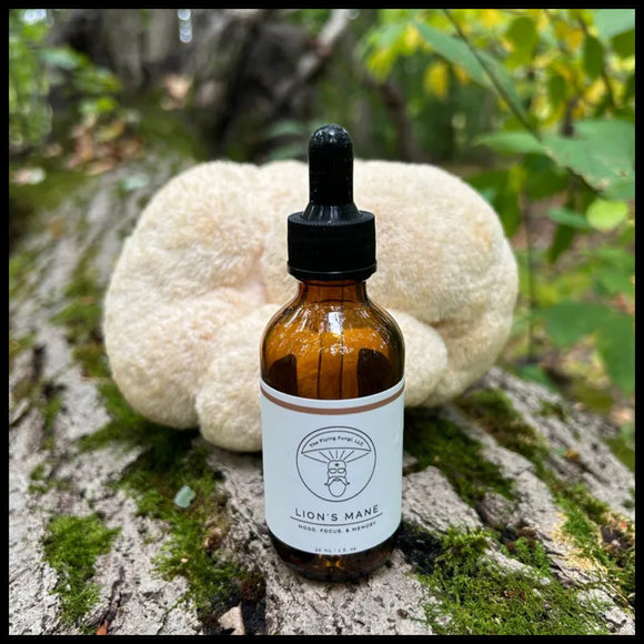 Lions Mane Tincture 2oz