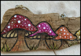 Four Little Mushrooms Driftwood