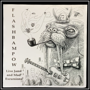 Flash Bam Pow  “Live Jams and Mad Excursions!”
