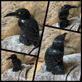 Raven in Onyx